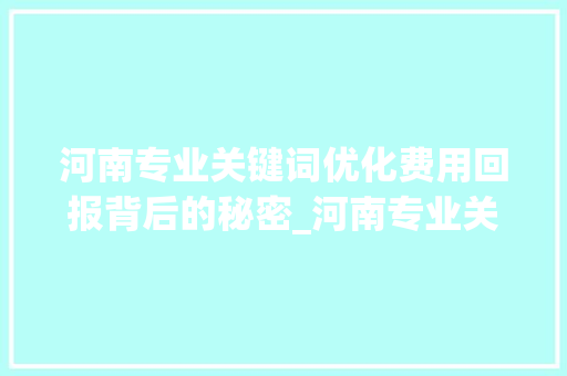 河南专业关键词优化费用回报背后的秘密_河南专业关键词优化费用