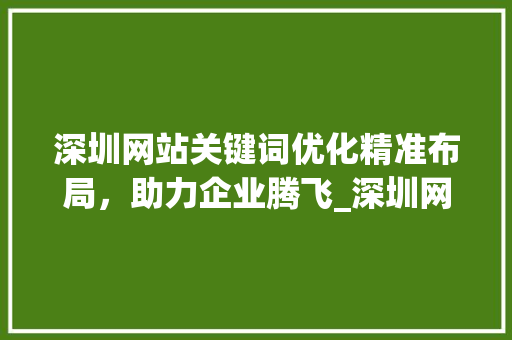 深圳网站关键词优化精准布局，助力企业腾飞_深圳网站关键词优化细分