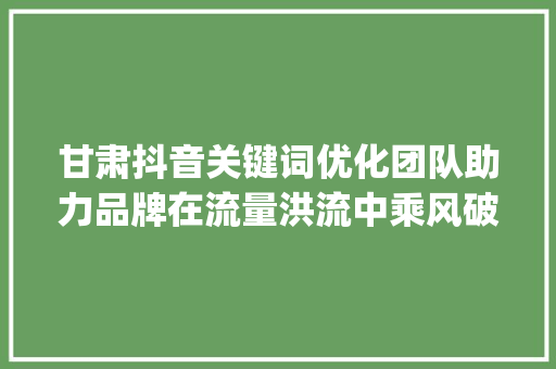 甘肃抖音关键词优化团队助力品牌在流量洪流中乘风破浪_甘肃抖音关键词优化团队