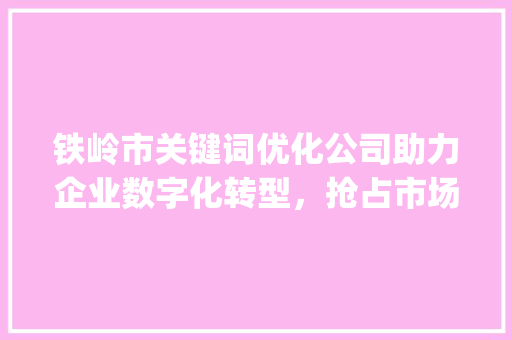 铁岭市关键词优化公司助力企业数字化转型，抢占市场先机_铁岭市关键词优化公司