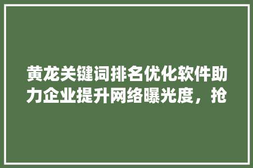 黄龙关键词排名优化软件助力企业提升网络曝光度，抢占市场先机_黄龙关键词排名优化软件