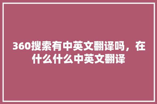 360搜索有中英文翻译吗，在什么什么中英文翻译