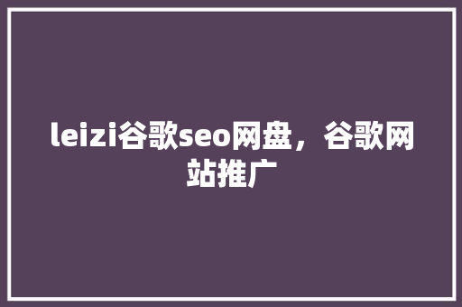 leizi谷歌seo网盘，谷歌网站推广