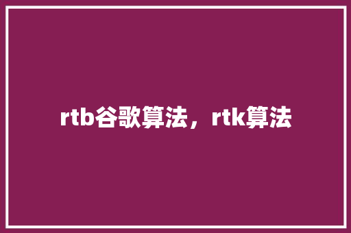 rtb谷歌算法，rtk算法
