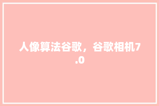 人像算法谷歌，谷歌相机7.0