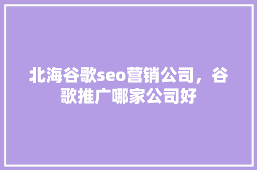 北海谷歌seo营销公司，谷歌推广哪家公司好