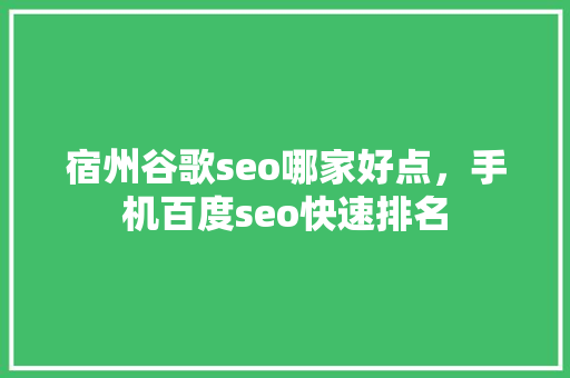 宿州谷歌seo哪家好点，手机百度seo快速排名