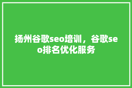 扬州谷歌seo培训，谷歌seo排名优化服务