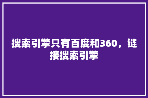 搜索引擎只有百度和360，链接搜索引擎