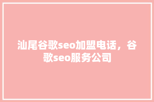 汕尾谷歌seo加盟电话，谷歌seo服务公司