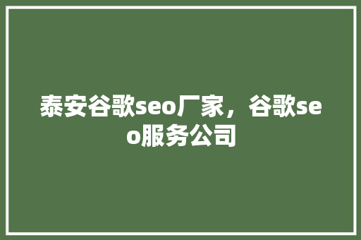 泰安谷歌seo厂家，谷歌seo服务公司