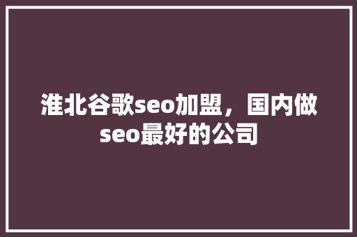 淮北谷歌seo加盟，国内做seo最好的公司