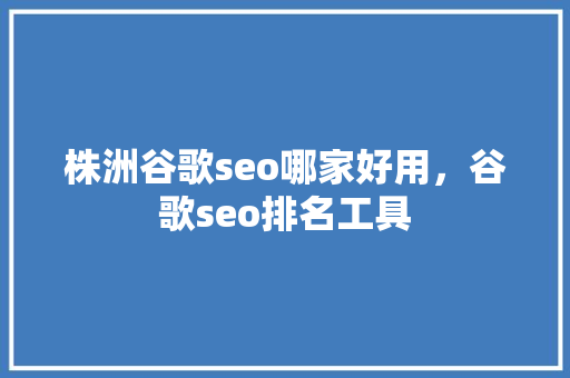 株洲谷歌seo哪家好用，谷歌seo排名工具