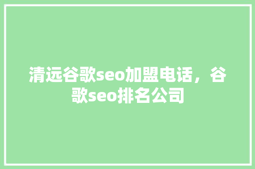 清远谷歌seo加盟电话，谷歌seo排名公司