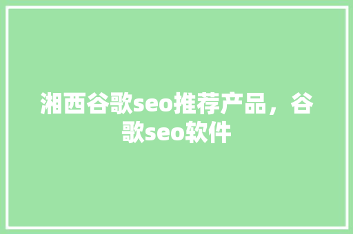 湘西谷歌seo推荐产品，谷歌seo软件