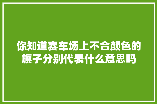 你知道赛车场上不合颜色的旗子分别代表什么意思吗