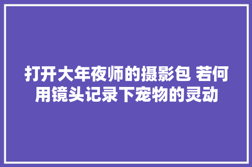 打开大年夜师的摄影包 若何用镜头记录下宠物的灵动