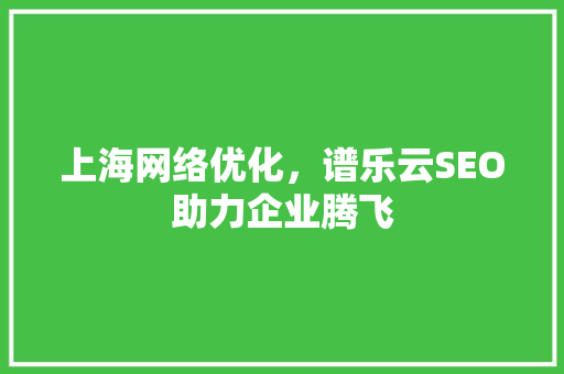 上海网络优化，谱乐云SEO助力企业腾飞