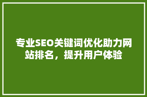 专业SEO关键词优化助力网站排名，提升用户体验