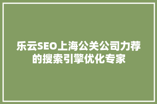 乐云SEO上海公关公司力荐的搜索引擎优化专家