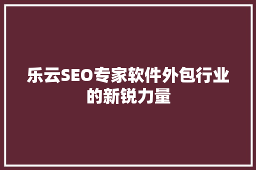 乐云SEO专家软件外包行业的新锐力量