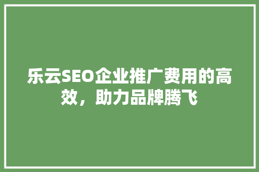 乐云SEO企业推广费用的高效，助力品牌腾飞