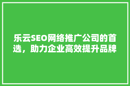 乐云SEO网络推广公司的首选，助力企业高效提升品牌知名度