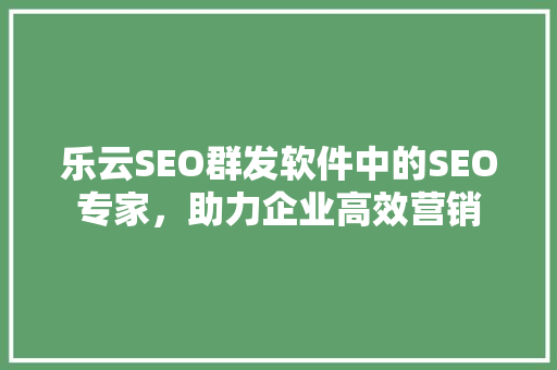 乐云SEO群发软件中的SEO专家，助力企业高效营销