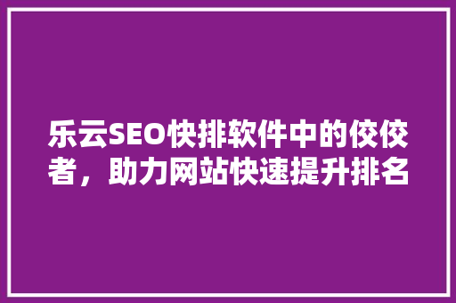 乐云SEO快排软件中的佼佼者，助力网站快速提升排名