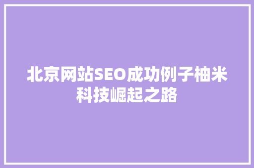 北京网站SEO成功例子柚米科技崛起之路