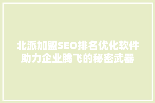 北派加盟SEO排名优化软件助力企业腾飞的秘密武器