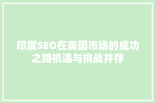 印度SEO在美国市场的成功之路机遇与挑战并存