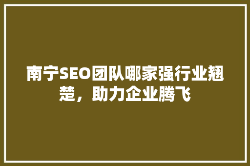 南宁SEO团队哪家强行业翘楚，助力企业腾飞