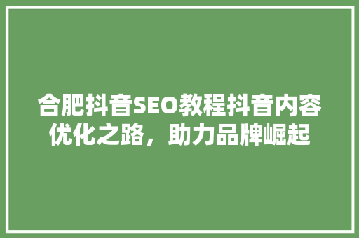 合肥抖音SEO教程抖音内容优化之路，助力品牌崛起