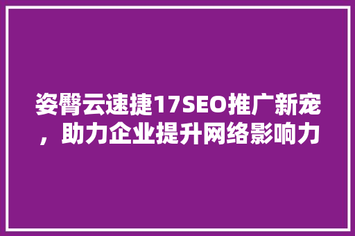 姿臀云速捷17SEO推广新宠，助力企业提升网络影响力
