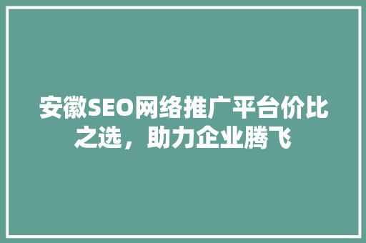 安徽SEO网络推广平台价比之选，助力企业腾飞