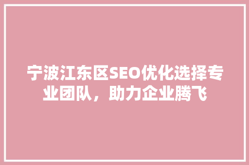 宁波江东区SEO优化选择专业团队，助力企业腾飞