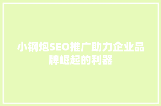 小钢炮SEO推广助力企业品牌崛起的利器