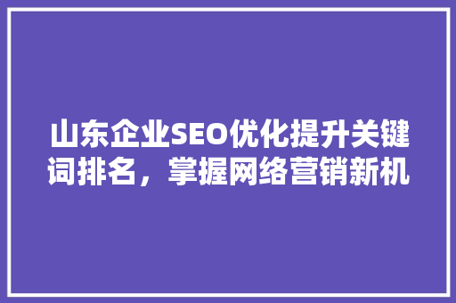 山东企业SEO优化提升关键词排名，掌握网络营销新机遇