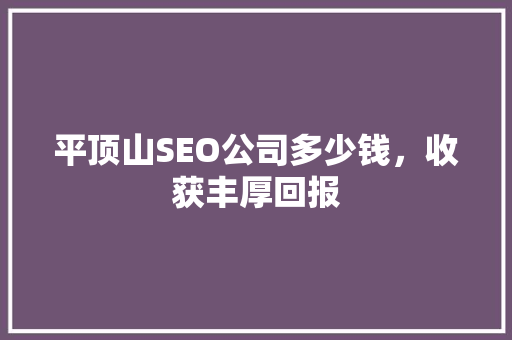 平顶山SEO公司多少钱，收获丰厚回报