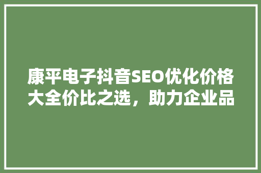 康平电子抖音SEO优化价格大全价比之选，助力企业品牌腾飞