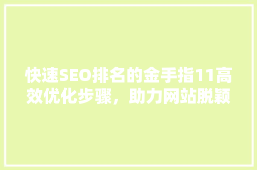 快速SEO排名的金手指11高效优化步骤，助力网站脱颖而出