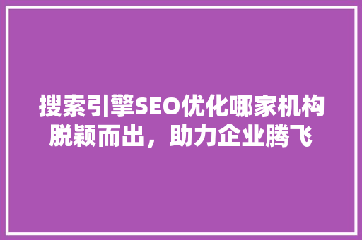 搜索引擎SEO优化哪家机构脱颖而出，助力企业腾飞
