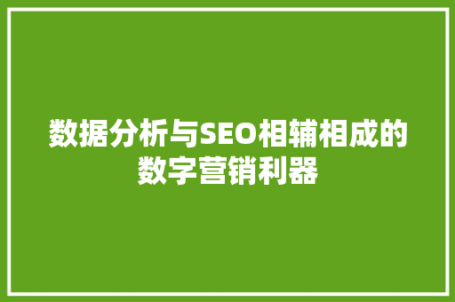 数据分析与SEO相辅相成的数字营销利器