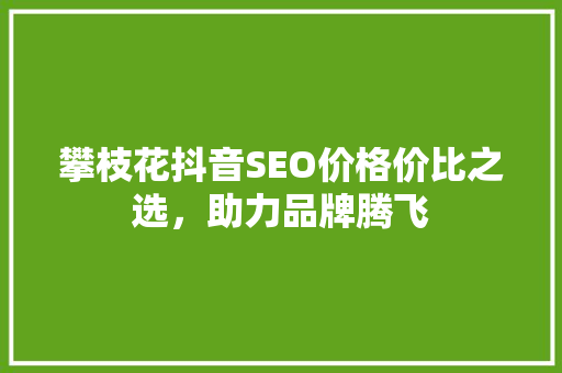 攀枝花抖音SEO价格价比之选，助力品牌腾飞
