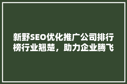 新野SEO优化推广公司排行榜行业翘楚，助力企业腾飞