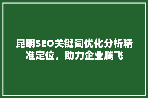 昆明SEO关键词优化分析精准定位，助力企业腾飞