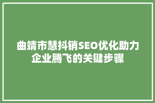 曲靖市慧抖销SEO优化助力企业腾飞的关键步骤