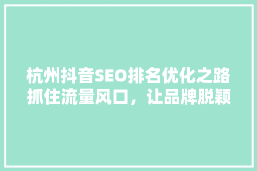 杭州抖音SEO排名优化之路抓住流量风口，让品牌脱颖而出