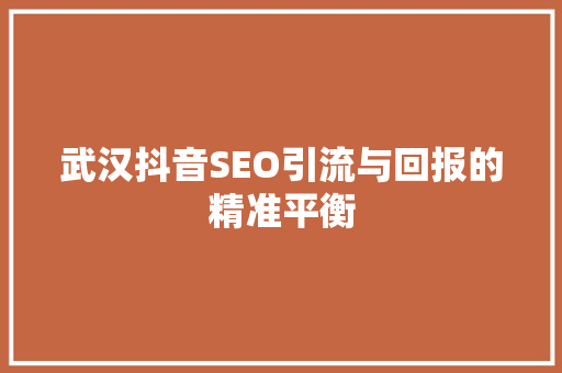 武汉抖音SEO引流与回报的精准平衡